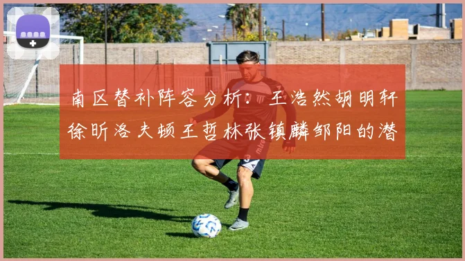南区替补阵容分析：王浩然胡明轩徐昕洛夫顿王哲林张镇麟邹阳的潜力与表现